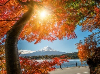 mount fuji, japan from lake kawaguchiko in autumn.