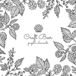 beer hops branch with leaves and hop cones. vintage engraved hops for labels, packaging, poster with production process brewery beer. hand drawn design element. all element isolated