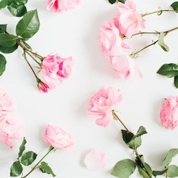 floral pattern made of pink roses, green leaves on white background. flat lay, top view. floral pattern. pattern of flowers. flowers texture.