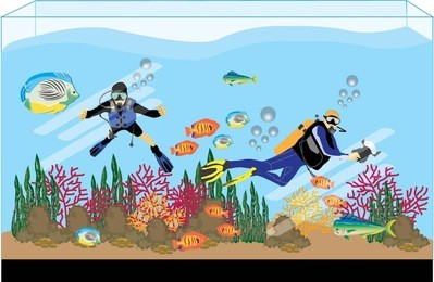 underwater photographers and divers are diving in aquariums and above the coral.
