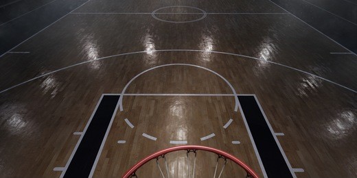 basketball arena in 3d