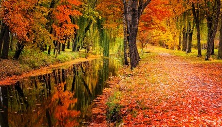 autumn landscape beautiful colored trees over the river, glowing in sunlight. wonderful picturesque background. color in nature. gorgeous view.