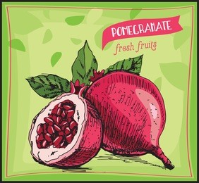 eco food label. hand drawn sketch pomegranate. green leaves background. farmers market logo. fresh fruit vintage banner. vector illustration 