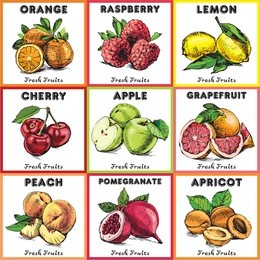 eco food labels set. hand drawn color sketch fruits. farmers market logo. fresh fruit vintage banner. vector illustration
