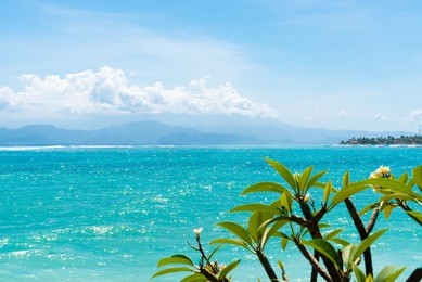 lembongan tropical island is a main popular balinese attraction, famous for the clear, aqua blue water and activities like diving and snorkelling in bali, indonesia.