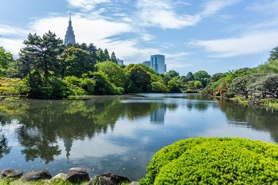 view on pond in park in tokyo, japan
