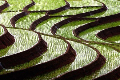 beautiful landscape view of rice terraces and house at chiang mai , thailand. the village is in a valley among the rice terraces. terraced paddy field in mae-jam village chiang mai , thailand.