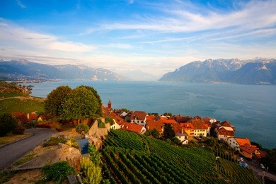 vineyards of the lavaux region over lake leman (lake of geneva),switzerland, hdr image.