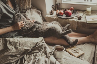 cozy home. woman with cute gray cat sitting in bed by the window.