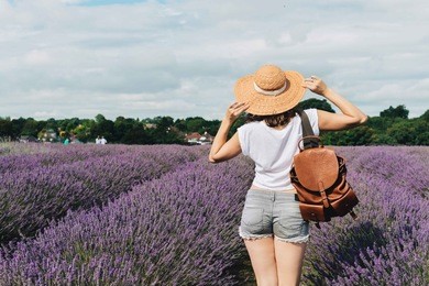a view on the mayfield lavender fields with a slim girl in a straw hat