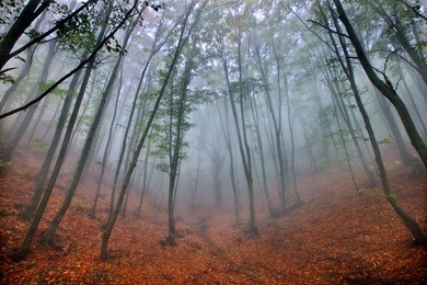  somewhere in pangeo, the mythical mountain, kavala, macedonia, greece 