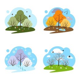 seamless background with natural elements