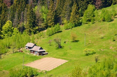      a house with a garden in the mountains, in the woods                 