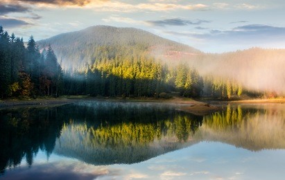 gorgeous foggy sunrise on the lake in forest. lovely autumnal landscape in mountains