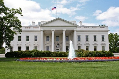 the white house in washington dc in spring with fountain and red tulips.