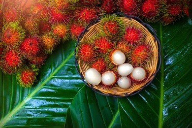 fresh rambutans in a basket placed on a green leaf concept.