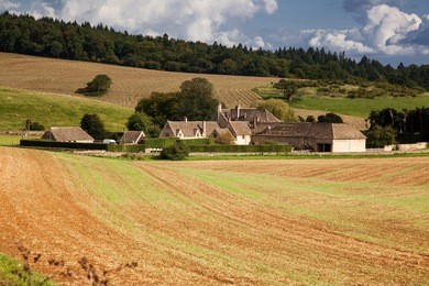 farm in cotswolds - british countryside, uk