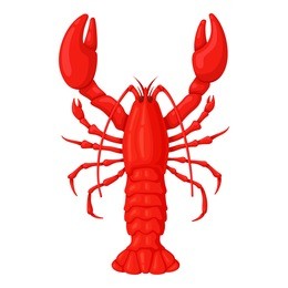 red whole lobster. seafood restaurant symbol, delicious freshly prepared food. vector flat style illustration isolated on white background
