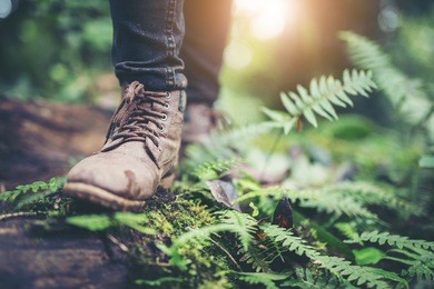 shoes man walking on a forest path in autumn and lifestyle hiking concept.travel hiking.