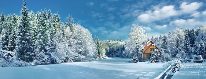 winter forest in the carpathians on lake vito