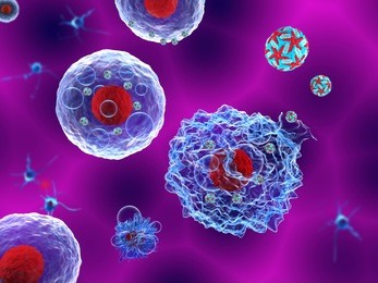 3d illustration of zika virus (zikv) infecting neural stem cells