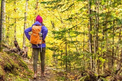 autumn hike backpacker lifestyle woman walking on trek trail in forest outdoors with yellow leaves foliage. fall outdoor activity girl with backpack and cold season gear hiking outside.