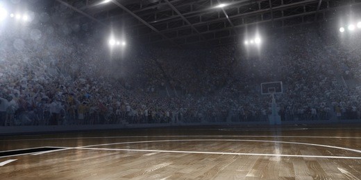 professional basketball arena in 3d. arena are full of fans.