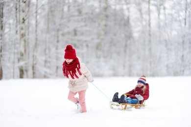 two funny little girls having fun with a sleight in beautiful winter park. cute children playing in a snow. winter activities for kids.