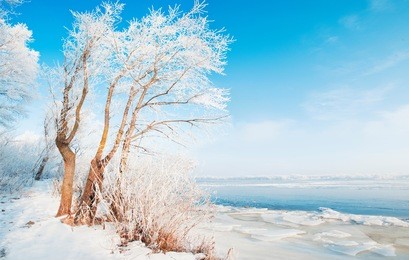 winter landscape, beach winter river and trees in hoarfrost, sunny winter landscape, frozen river in the winter, turquoise blue sunny sky, lake, ice