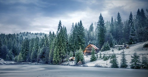 winter forest in the carpathians on lake vito