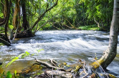 sahasralingas (linga 1,000), the figures of yoni and linga in rocky riverbed on mountain along kbal spean river in phnom kulen national park (phnom koulen, mountain of lychees), siem reap, cambodia