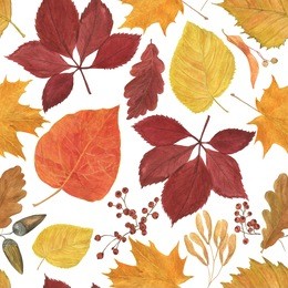 watercolor painting autumn seamless pattern with  yellow, red leaves and rowan berries