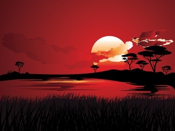 colorful sunset scene, african landscape with silhouette of trees.