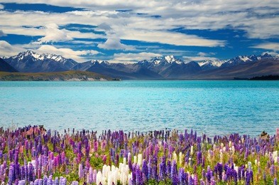 lake tekapo, south island, new zealand