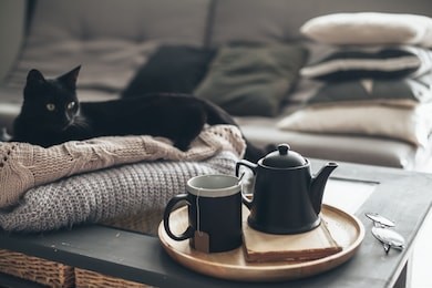 still life details in home interior of living room. black cat relaxing on sweater. cup of tea on a serving tray on coffee table. breakfast over sofa in morning sunlight. cozy autumn or winter concept.