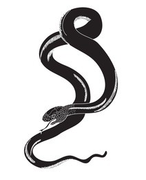 snake tattoo style vector illustration.