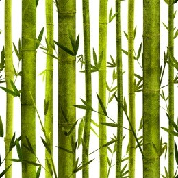 seamless pattern with bamboo plants and leaves.high-resolution seamless texture