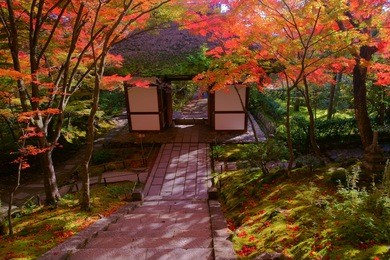 jojakko-ji temple is a zen temple on the arashiyama that  coloful maple autumn offers to understanding what is wabi-sabi(sadness) style when in zen garden main gates.