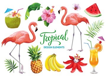 tropical collection for summer beach party: exotic flowers, leaves, cocktails, flamingos and fruits. vector design isolated elements on the white background.