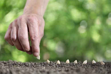 hand sowing seeds in the vegetable garden soil, close up on green background