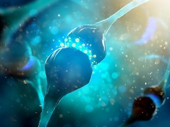 synapse and neuron cells sending electrical chemical signals (3d illustration)