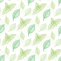 mint leaf vector seamless pattern. hand drawn eco peppermint tea. fresh mint leaves. menthol. medicinal plants. spicy herbs. 