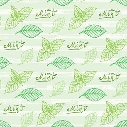 mint leaf seamless pattern. hand drawn eco peppermint tea. fresh mint leaves. menthol. medicinal plants. spicy herbs vector background. 