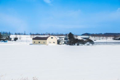 house and hut covered by snow. blue sky in the winter rural landscape.  forest trees in fresh day at hokkaido, japan.