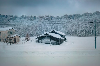 house and hut covered by snow. snow storm is coming in  winter rural landscape.  forest trees in fresh day at hokkaido, japan.