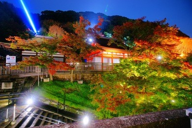 kiyomizu-dera temple  is one of the most scenic spots in kyoto.colorful maple and the kiyomizu stage peaceful in the early autumn night.
