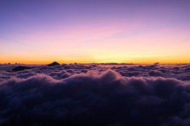 mist over the mountaintop at "doi pha tang" chiang rai, thailand in the sunrise scenery.