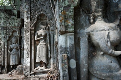 carvings of apsaras (celestial dancers) dance silently in the walls of beng melea temple of angkor.  the temple is one of the most fascinating, having been left in its unrestored state.