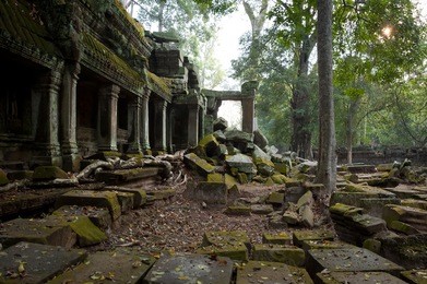 ta prohm temple of angkor, siem reap.