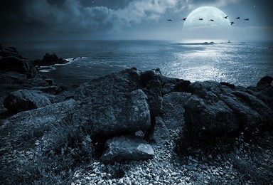 a flock of birds flying over the ocean at fullmoon